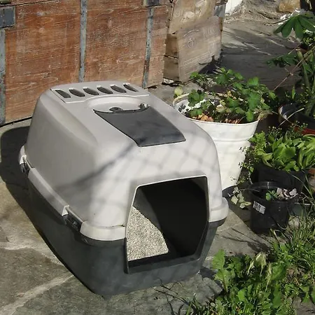 Breckenbreck Monolocale Cin It7001c2p4nvwopa Vakantiehuis Allein