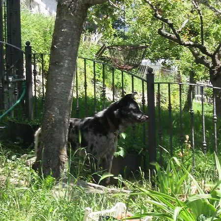 Breckenbreck Monolocale Cin It7001c2p4nvwopa بيت للعطل *